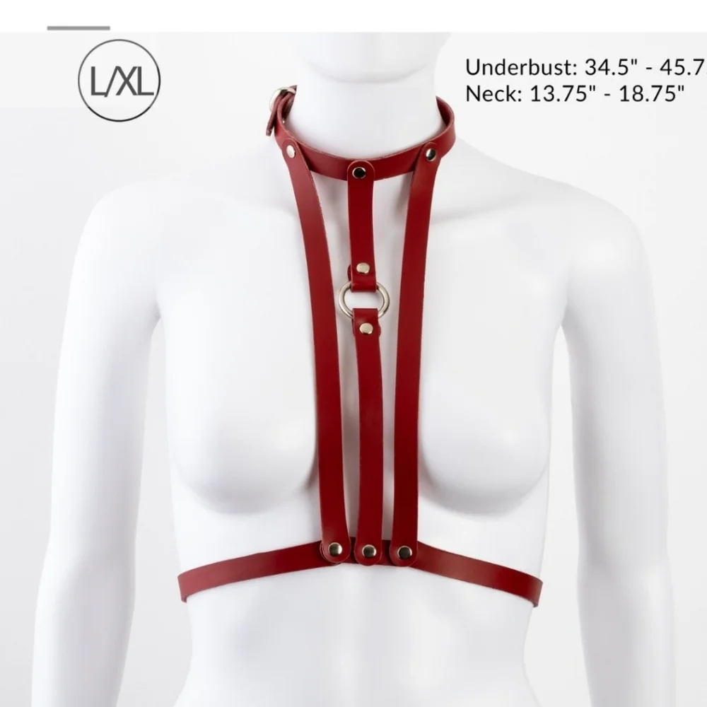 Red Leather Harness - Picture 3 of 6